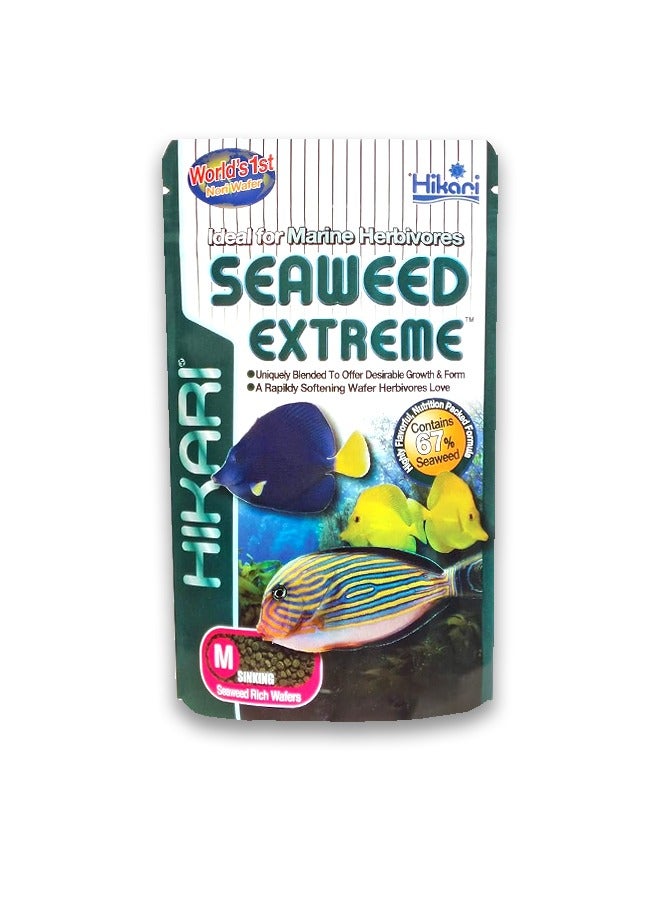 Hikari Marine Seaweed Extreme Sinking Medium Wafer - 90GM - Image 1